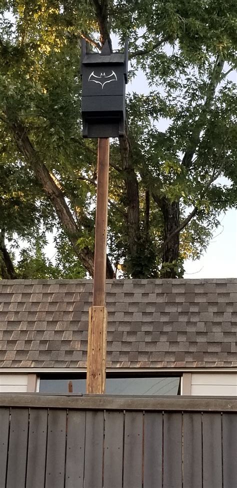 bat house poles for trees